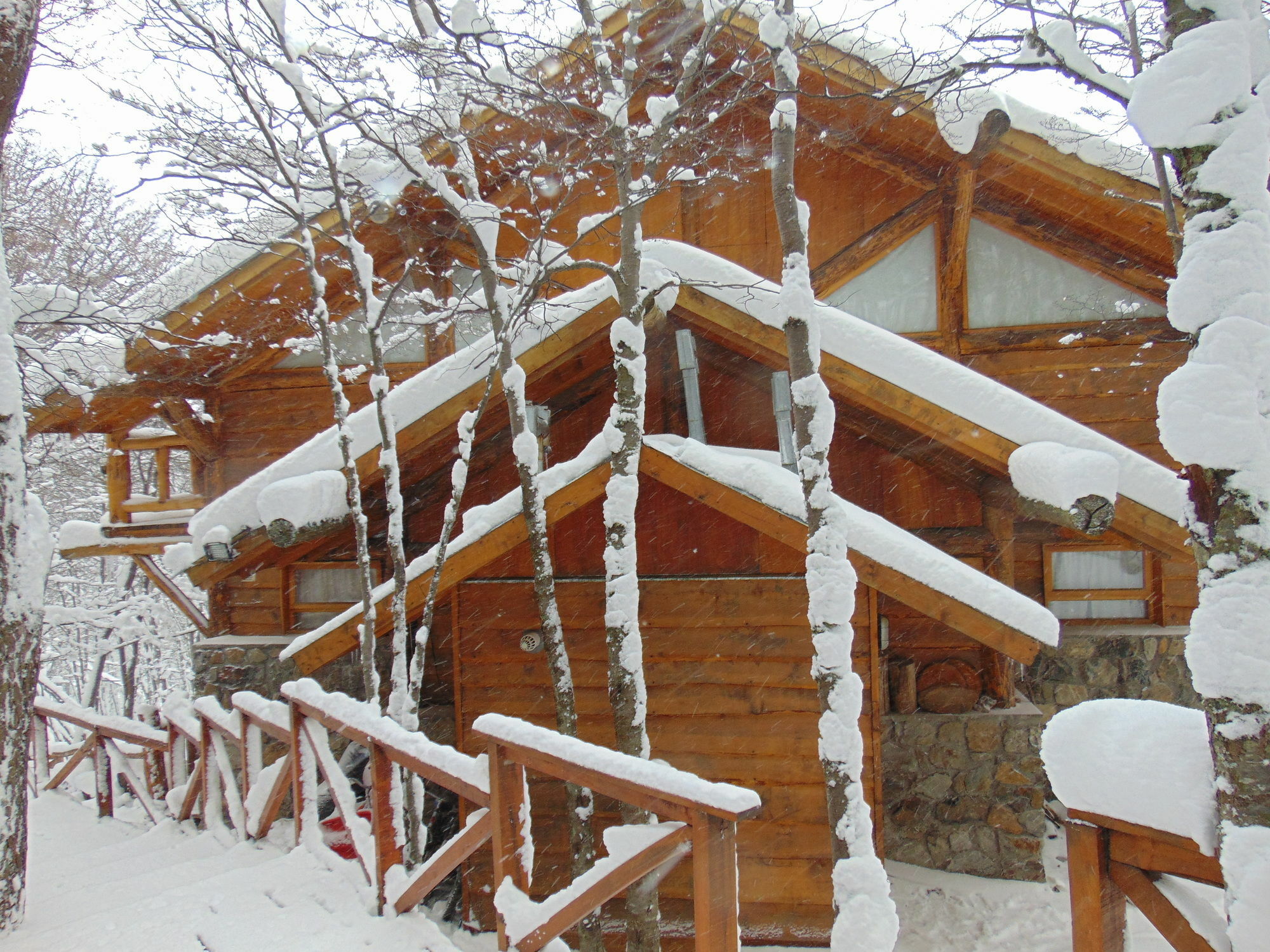 אושואיה Patagonia Villa Lodge מראה חיצוני תמונה